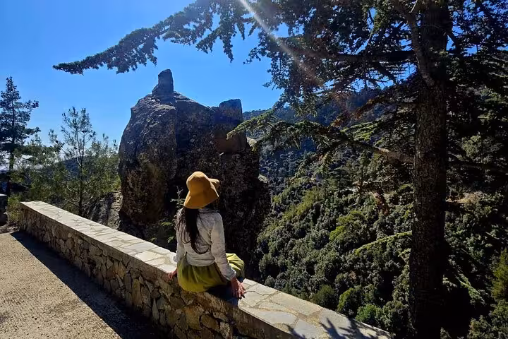 Traveler at Troodos viewpoint overlooking pine forest and rock formations, day tour from Paphos to Kykkos