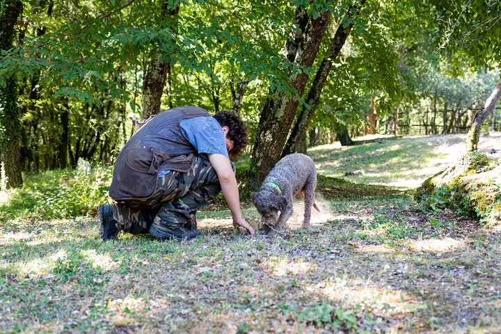 Truffle hunter with trained dog searching for fresh truffles in a shaded Tuscan forest before Chianti wine tasting