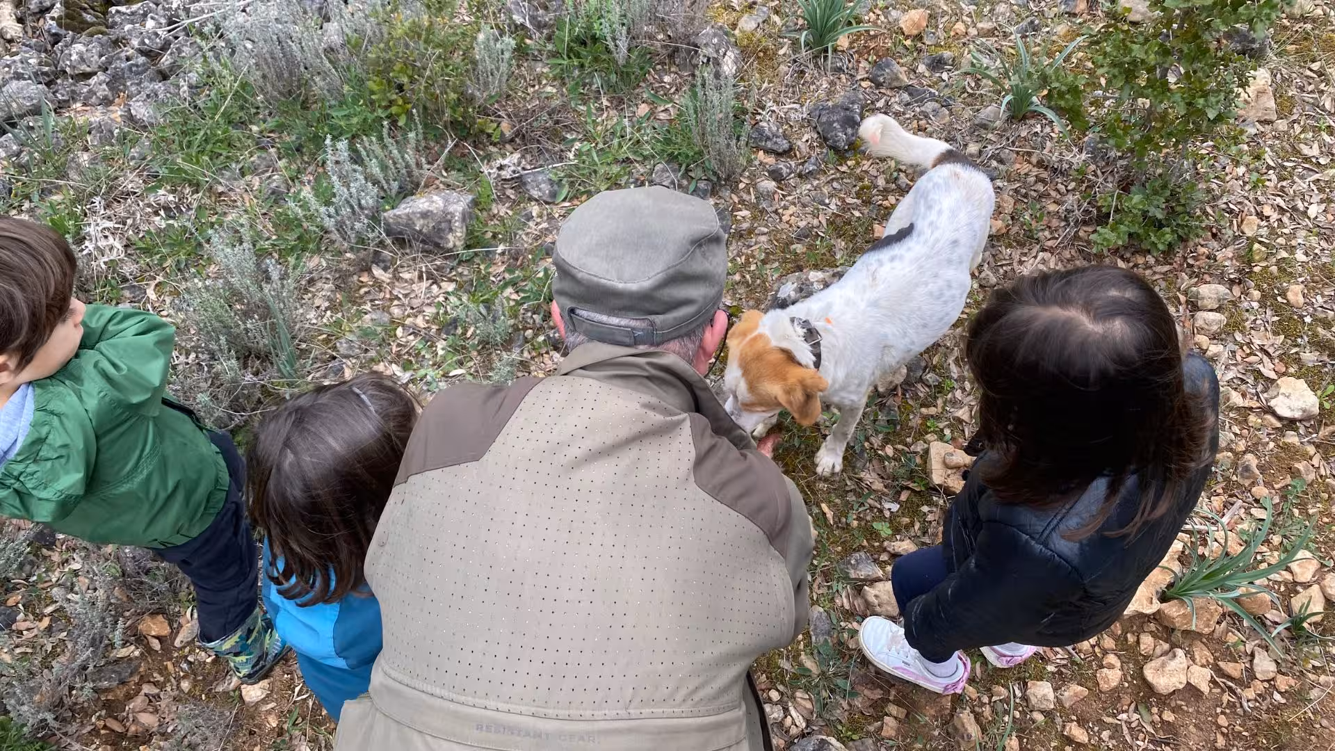 Children observing a truffle dog at work on a guided hunt in Laconi's scenic landscape, perfect for family activities.