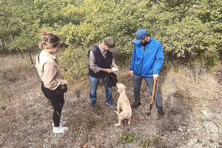 Small group with local guide and truffle dog learning to find truffles in the Tuscan hills before Chianti tasting