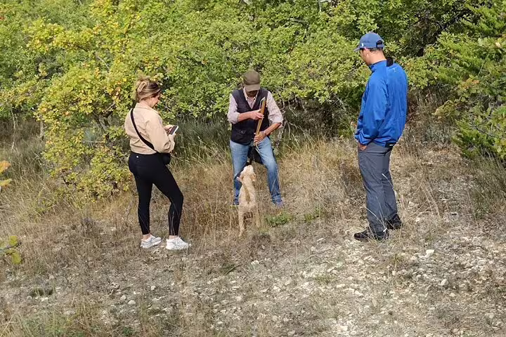 Small group learning truffle hunting techniques with a trained dog in the Tuscan woods before Chianti wine tasting