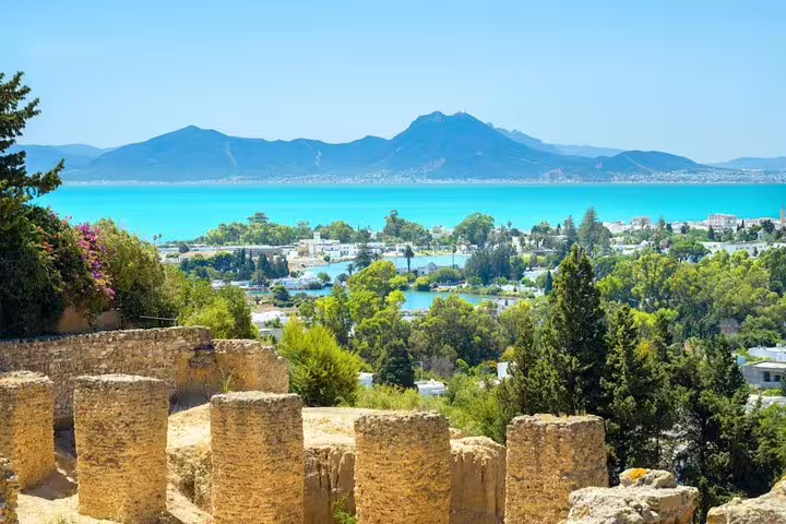 Scenic view of Carthage ruins with lush greenery and turquoise sea, highlighting Tunisia's rich history and natural beauty.