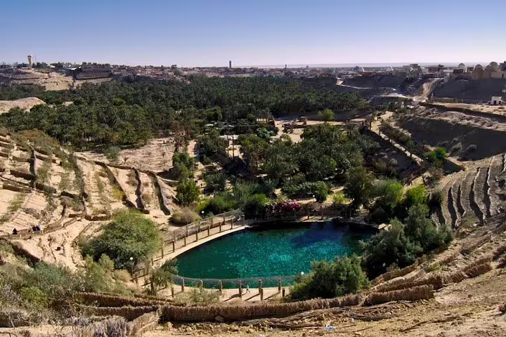 Discover the lush oasis of Chebika with vibrant palms and tranquil water reflecting Tunisia's natural beauty.
