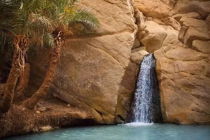 Discover Tunisia's serene oasis waterfall surrounded by palm trees and rocky cliffs on the Essential Discovery Tour.