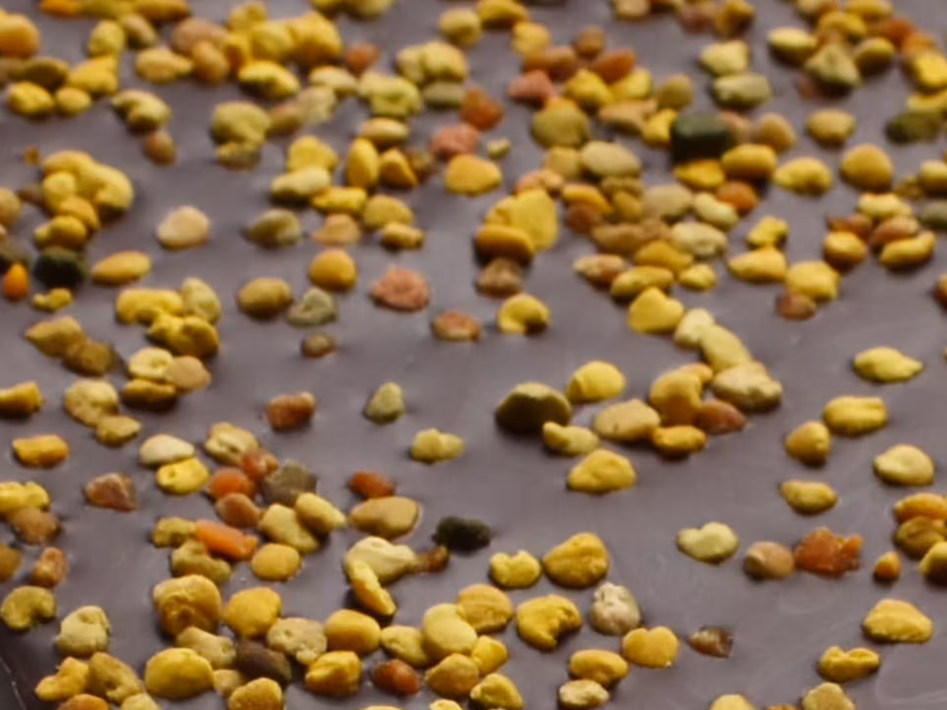 Close-up of a rich chocolate bar topped with colorful bee pollen, highlighting Turin's artisanal chocolate scene.