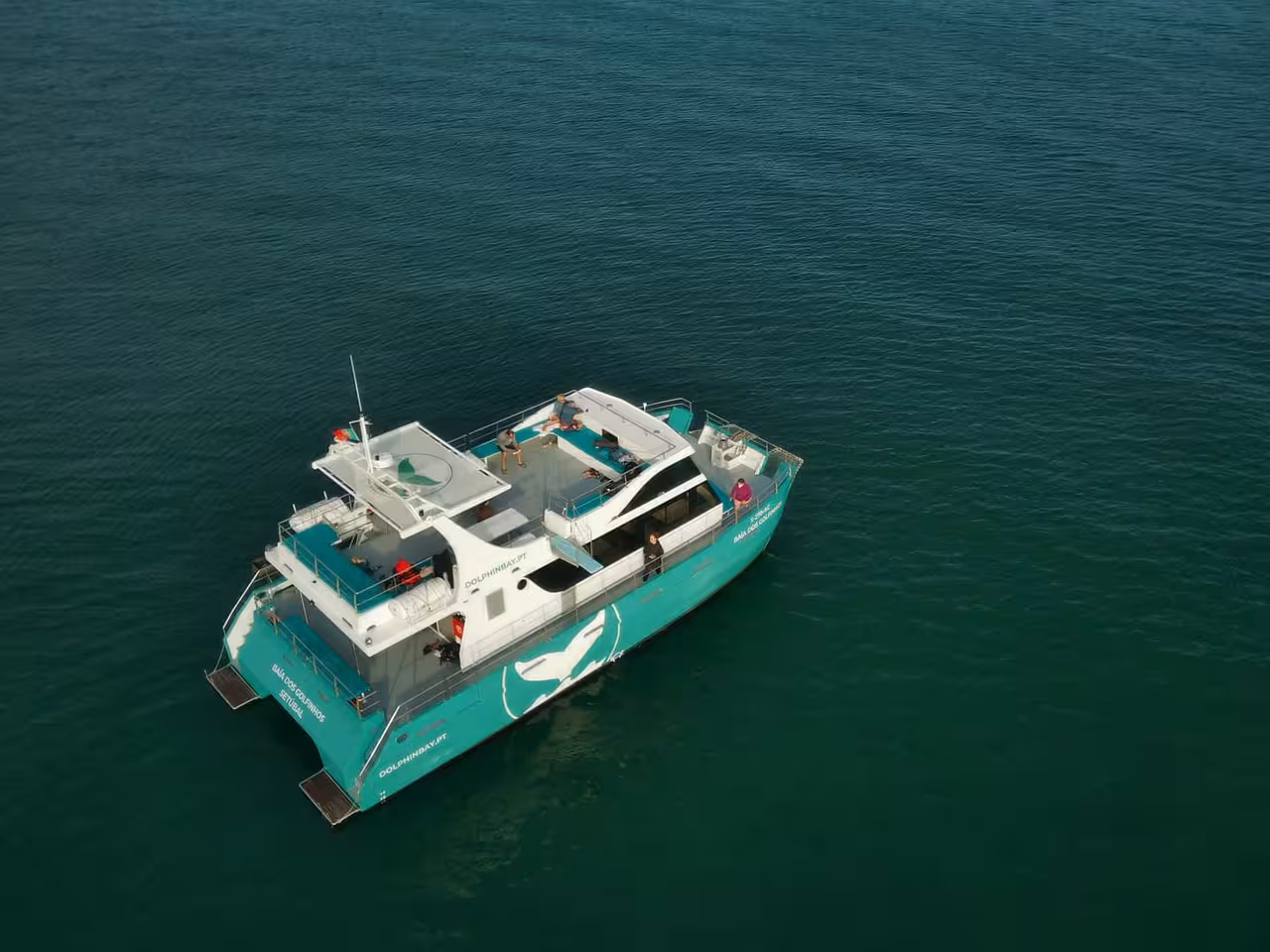 Spacious turquoise catamaran dolphin watching boat with open deck cruising calm coastal waters on a scenic ocean tour