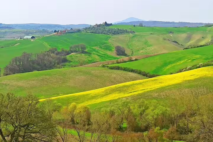 Rolling green hills and vineyards in the Tuscan countryside, ideal backdrop for a private Brunello and Vino Nobile wine tour