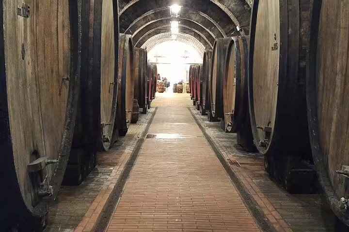 Historic Tuscan wine cellar with giant oak barrels aging Brunello and Vino Nobile on a private winery tour in Montepulciano