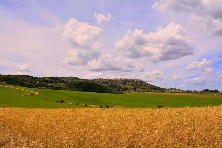 Scenic view of Tuscan countryside with rolling hills and lush fields under a cloudy sky, ideal for cooking and wine tours.