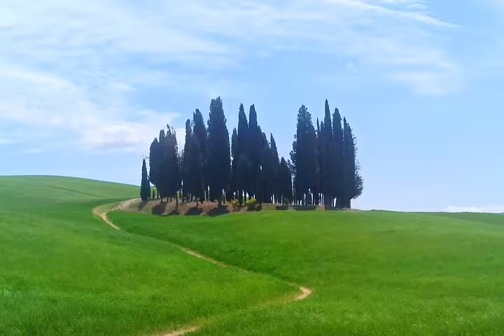 Curving trail through lush green Tuscan hills leading to iconic cypress trees near Siena on a Chianti and Brunello tour