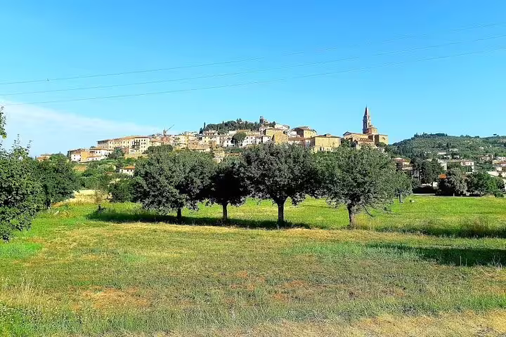 Hilltop Tuscan village near Lucca surrounded by vineyards and olive groves on a private Pisa countryside tour