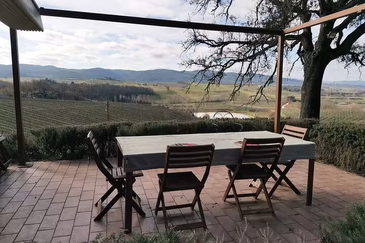 Scenic Tuscan vineyard view from a patio dining setup, ideal for a cooking class and wine tasting tour in Italy.
