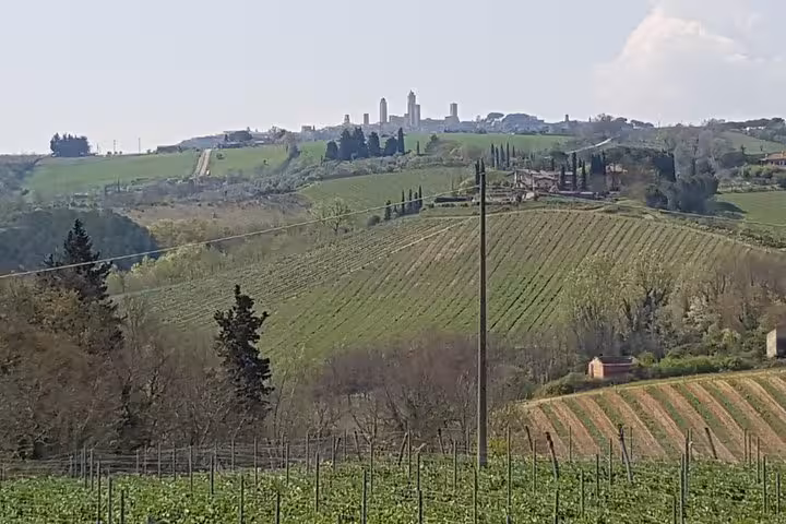 Tuscan vineyards and rolling hills near San Gimignano, scenic drive on 10-day private Italy tour Rome to Venice