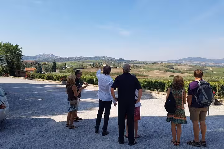 Small group sightseeing over Tuscan countryside vineyards, day trip between Florence and Pisa on 10-day Italy tour