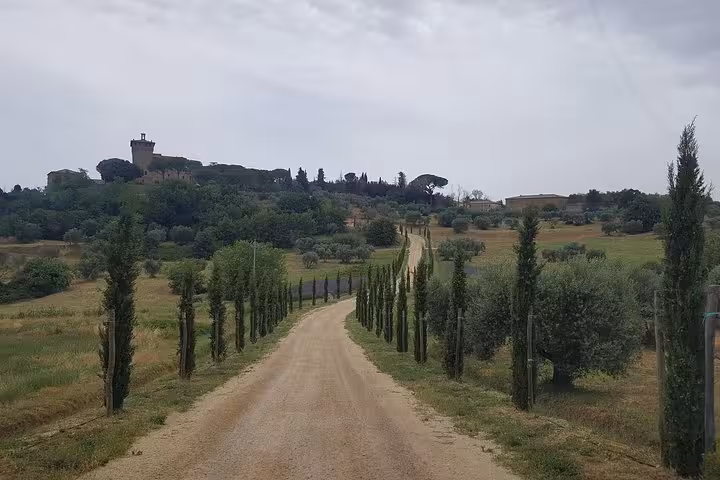 Cypress-lined gravel road through Tuscan countryside to a hilltop medieval village on a private 8-day tour
