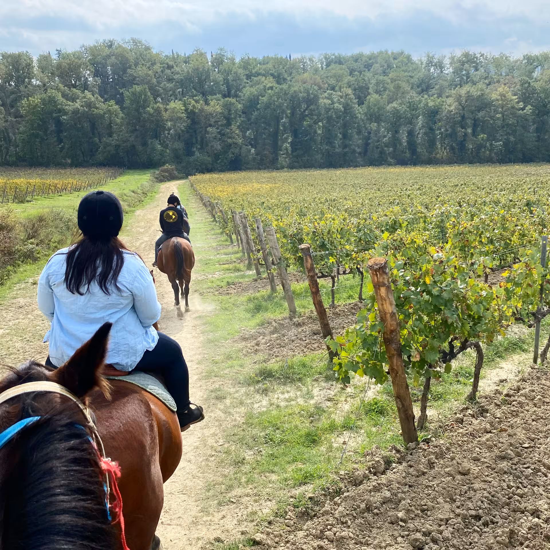Group horseback riding along a lush vineyard trail in Tuscany under a clear blue sky.