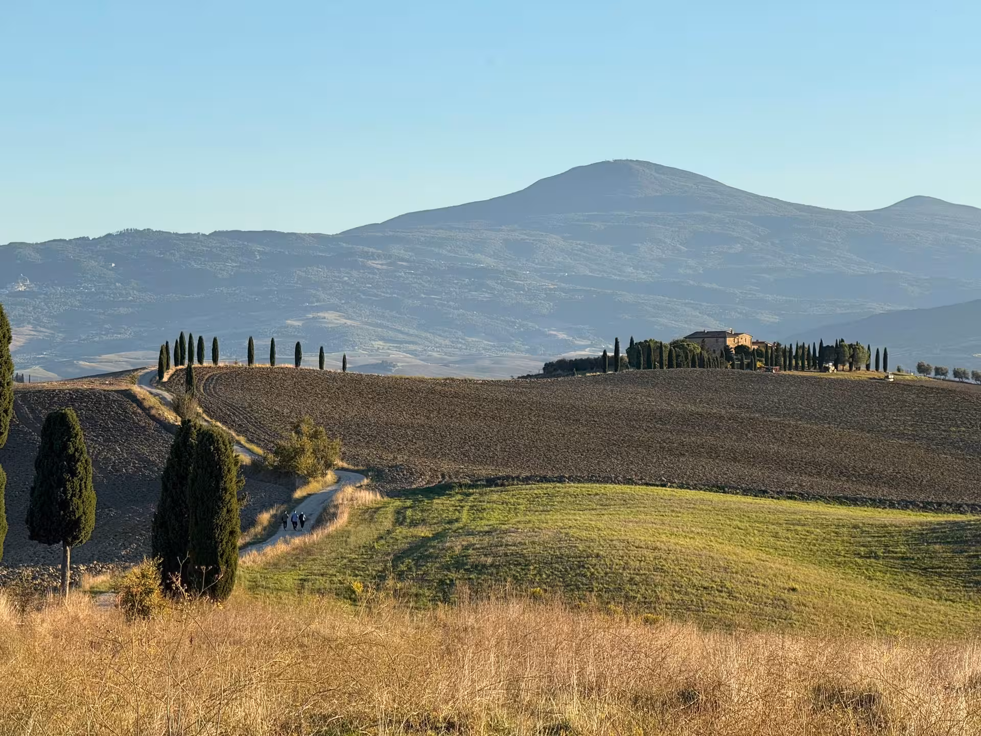 Scenic view of rolling hills and cypress trees in the Tuscan landscape near Pienza, perfect for a day trip.