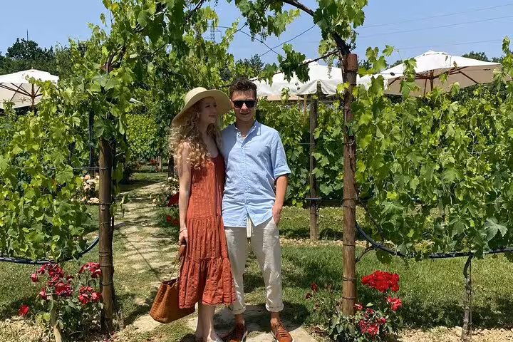Visitors exploring a lush vineyard in Tuscany, perfect for wine tasting and scenic tours from Florence.