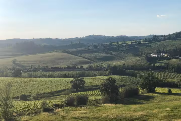 Expansive Tuscany vineyard landscape under a bright sky, perfect for a wine tour adventure with picturesque views.