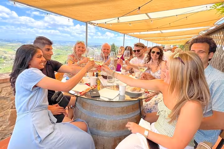 Group of people toasting wine at a vineyard in Tuscany during a tour from Rome, enjoying the scenic views.