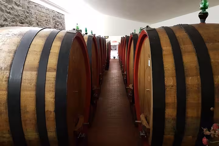 Wine cellar corridor with oak barrels, Tuscan winery visit on 8-day private tour of medieval villages in Italy
