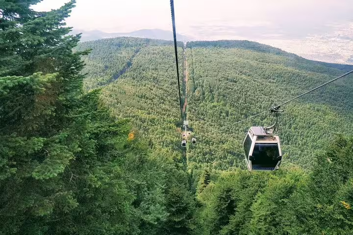Uludag cable car over pine forests in Bursa, scenic stop on a private day trip from Istanbul with mountain views
