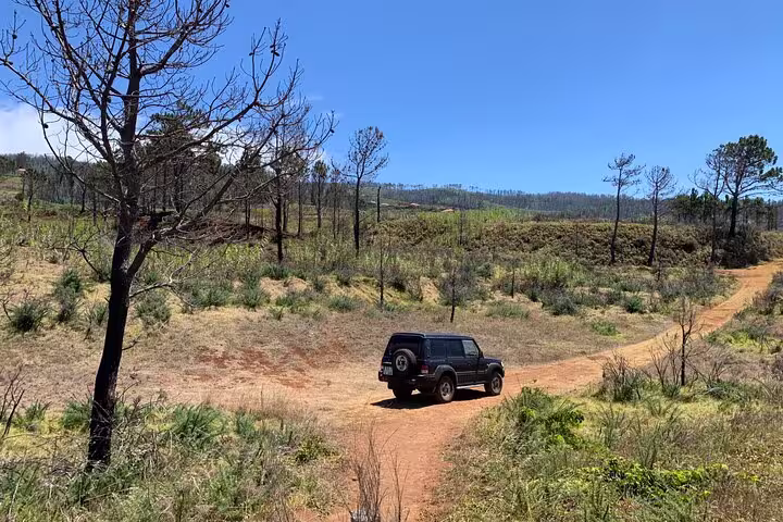 Off-road vehicle traversing a scenic dirt path amid lush greenery on The Untraveled West Tour.