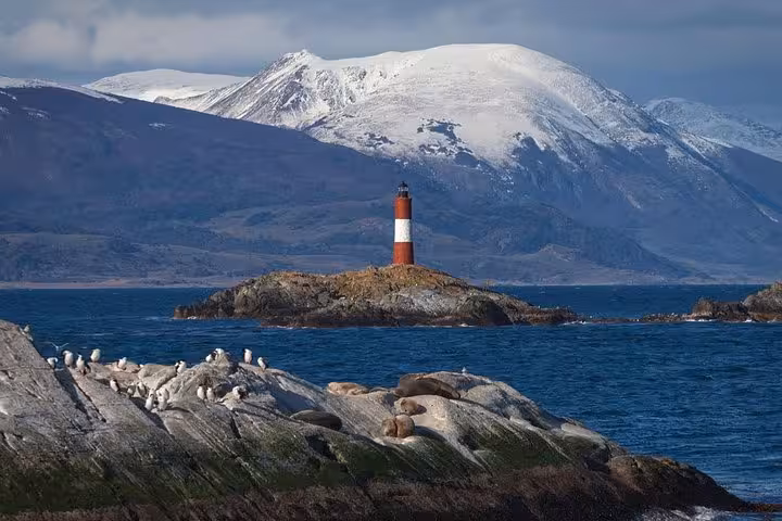 Snow-capped mountains and a lighthouse overlook sea lions in Beagle Channel, Ushuaia tour scenery.