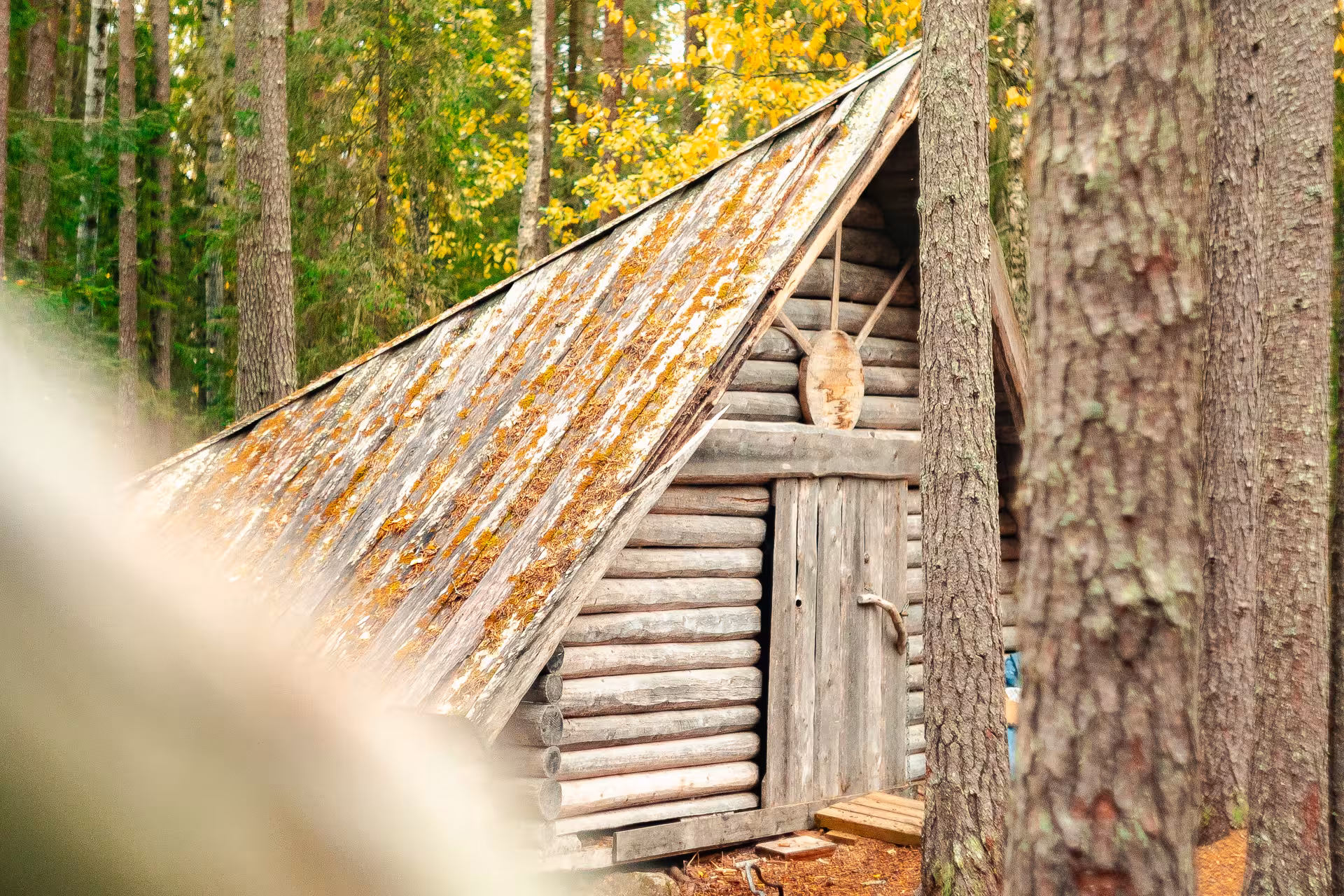 Rustic log cabin nestled among trees in the Arctic Circle forest, offering a charming stop on the Vaattunkiköngäs Trail hike.