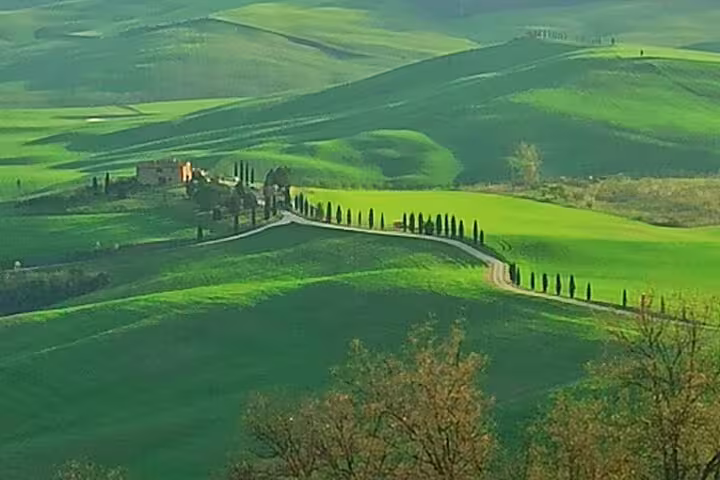 Rolling green hills and cypress-lined road in Val d’Orcia, a scenic stop on the Brunello and Nobile di Montepulciano wine tour