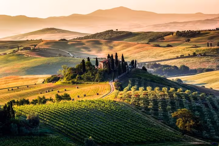 Breathtaking view of Val d'Orcia's rolling hills and vineyards at sunset on a private tour from Florence.