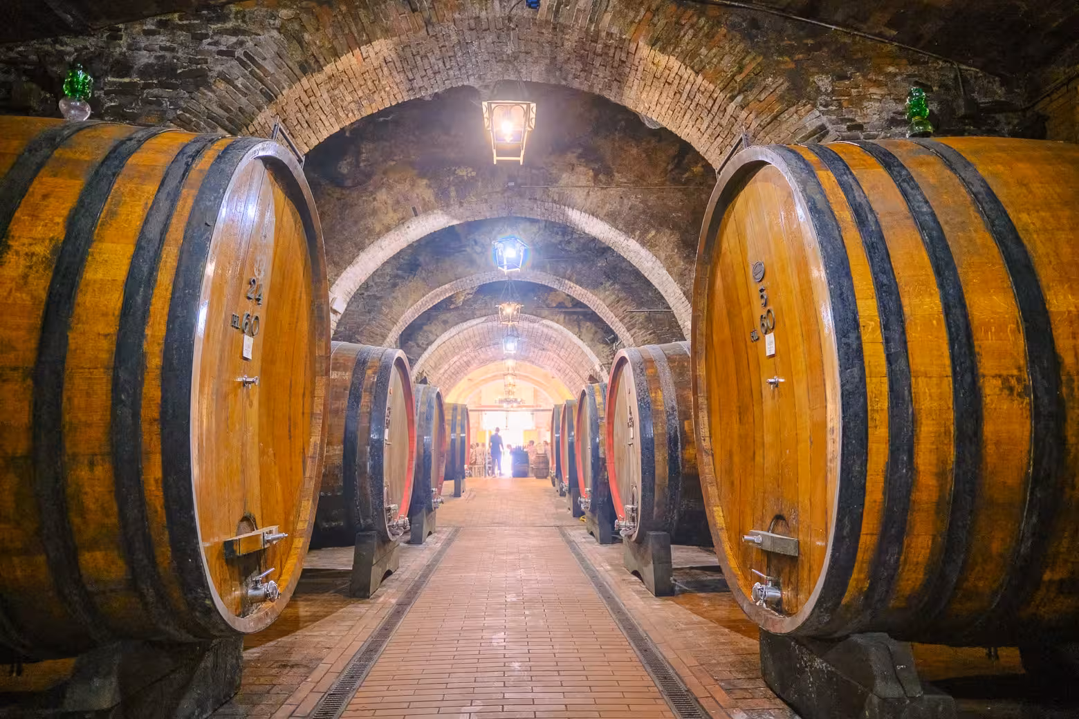 Rows of large wooden wine barrels line a historic cellar in Val D'Orcia, offering a glimpse into traditional winemaking.