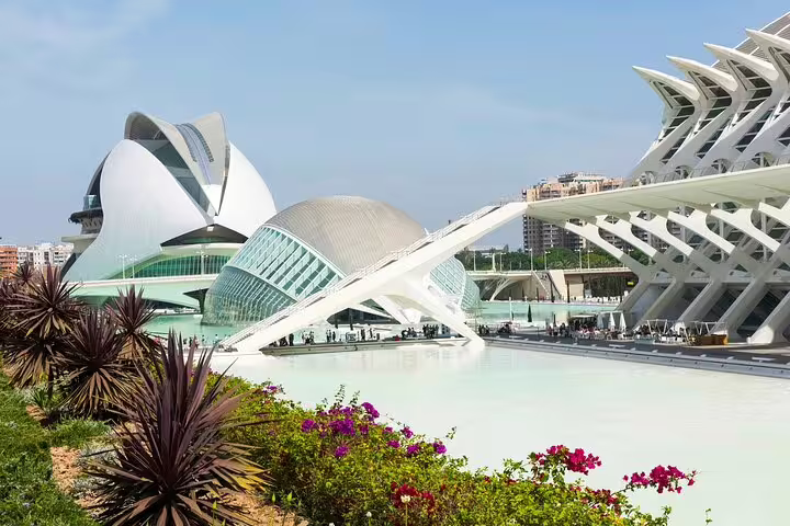 Explore Valencia's stunning City of Arts and Sciences on a private family tour, showcasing futuristic architecture and vibrant gardens.