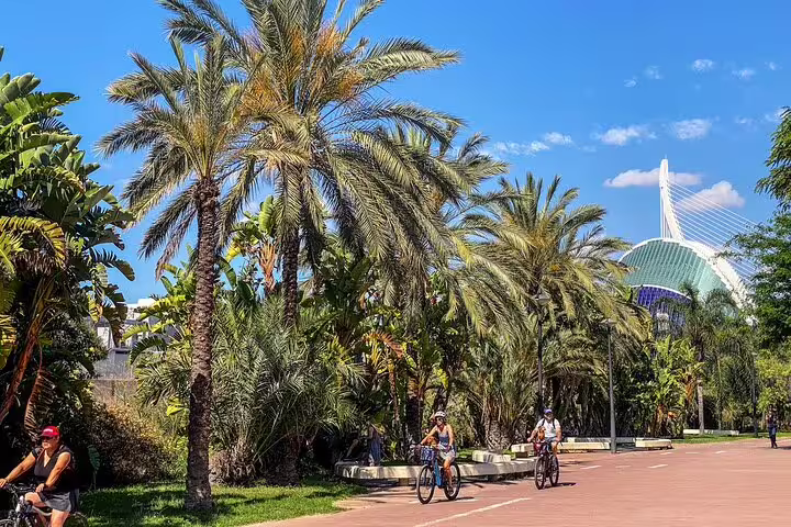 Cyclists enjoy a sunny ride past palm trees and modern architecture on the Valencia Private Bikes and E-Bikes Tour with Drinks.