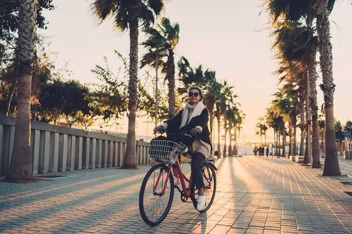 Person enjoying a Valencia private bike tour at sunset, riding along a palm-lined path with a relaxed vibe.