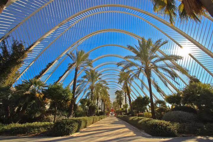 Palm-lined walkway under arched canopy in Valencia Turia Gardens, scenic stop on guided e-bike tour