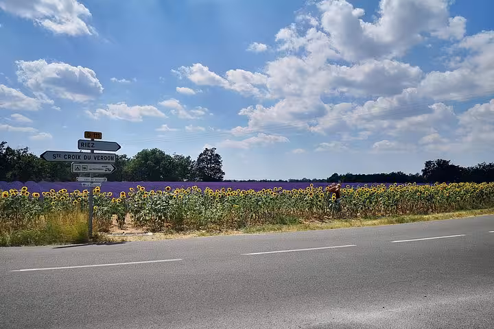 Roadside view of Valensole lavender and sunflower fields near Sainte-Croix-du-Verdon on Marseille day tour