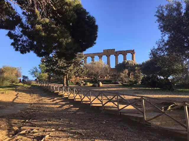 Path through olive trees to ancient Greek ruins at Valley of the Temples, Agrigento day trip from Palermo