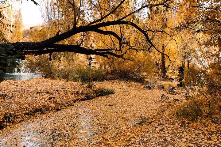 Autumn riverside trail in Van, Turkey with golden foliage, scenic nature stop on a private all-inclusive 3-day tour