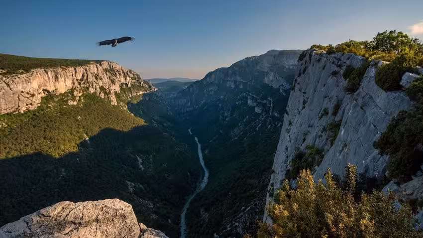 gorges du verdon