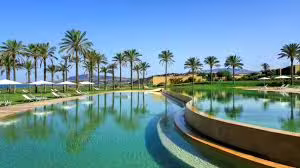 Palm-fringed infinity pool at Verdura Resort Sciacca, a luxury seaside escape easily reached by private transfer from Palermo airport