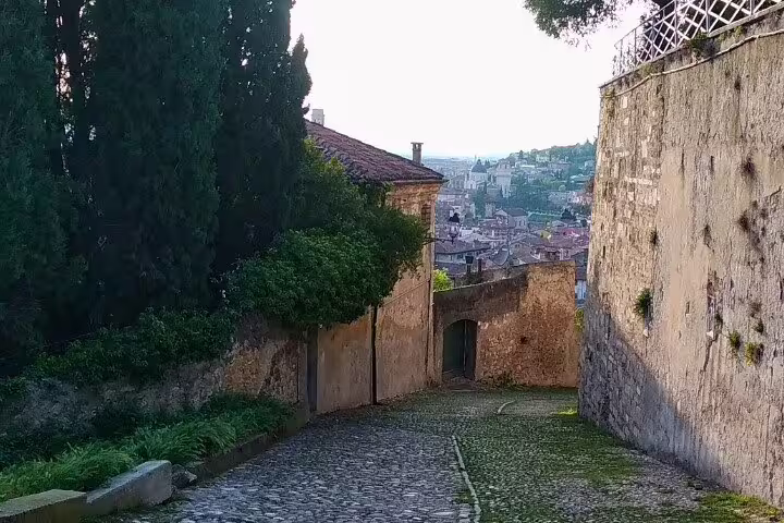 Cobbled downhill lane with cypress trees and Verona skyline views on a guided hillside walking tour