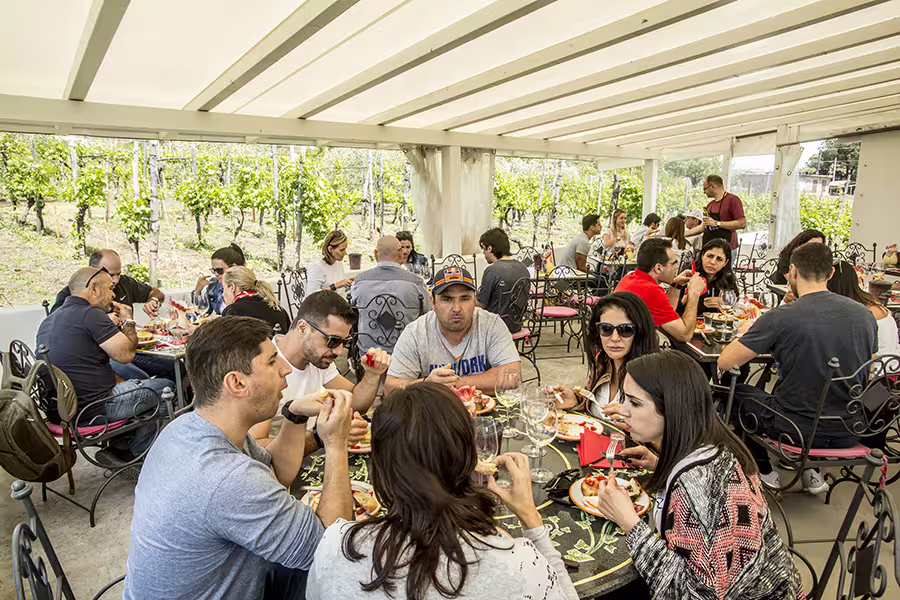 Outdoor terrace lunch with local wines at Vesuvius vineyard, Naples group wine tasting tour experience