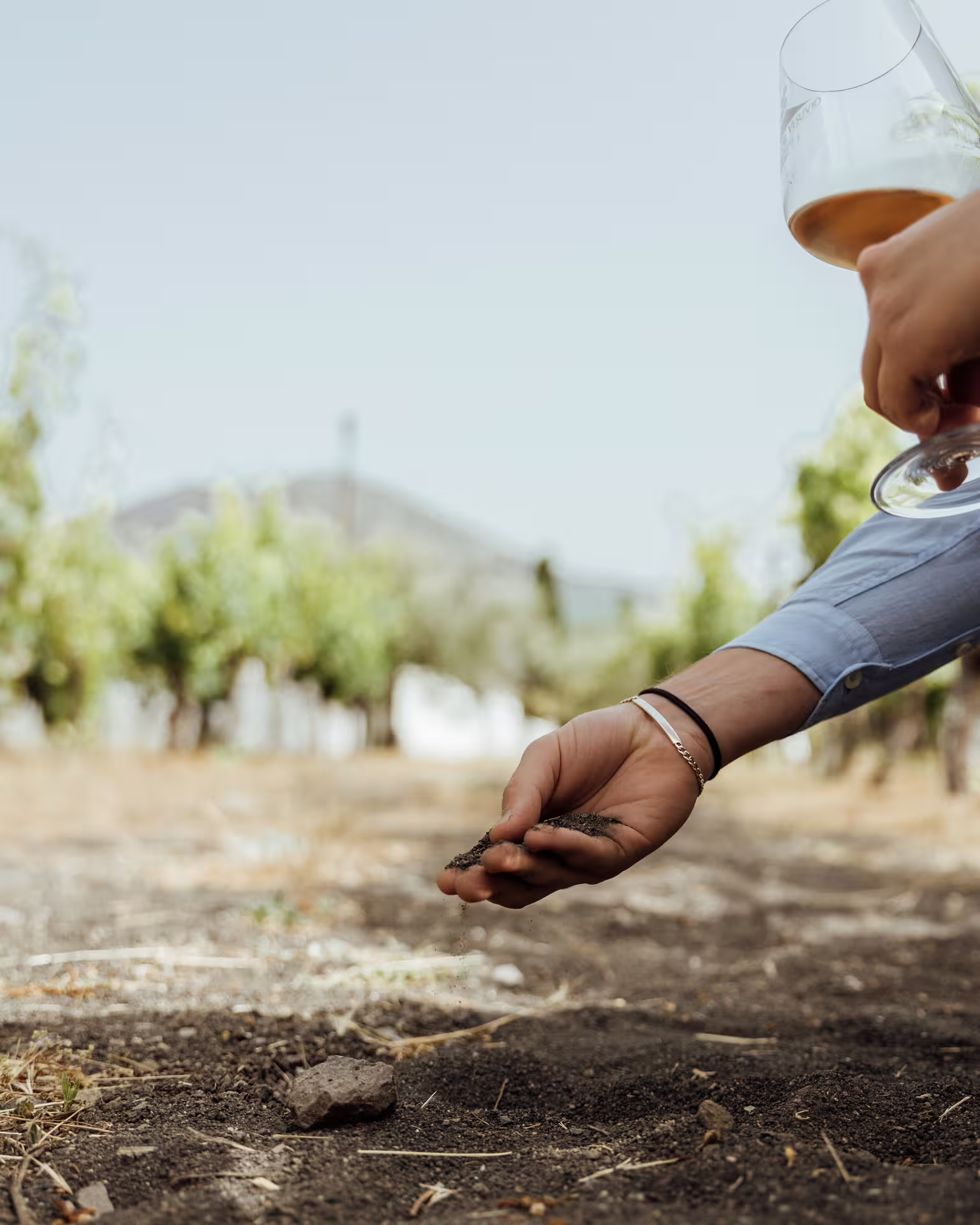 Hand holding volcanic soil and wine glass in Vesuvius vineyard on Naples group wine tasting tour