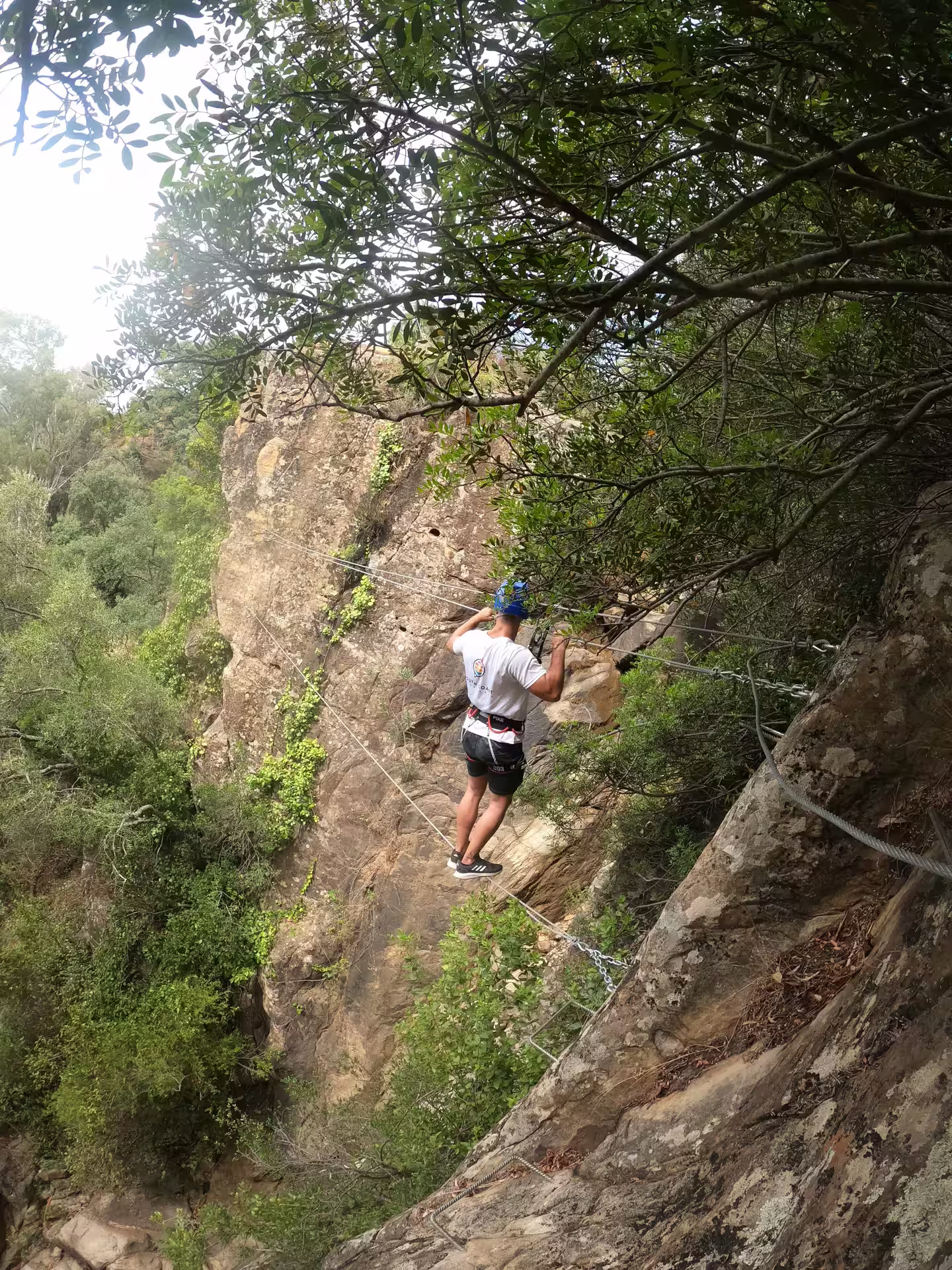 Adventurer traverses a challenging via ferrata route at El Caimán in Alcornocales Natural Park, surrounded by lush greenery.