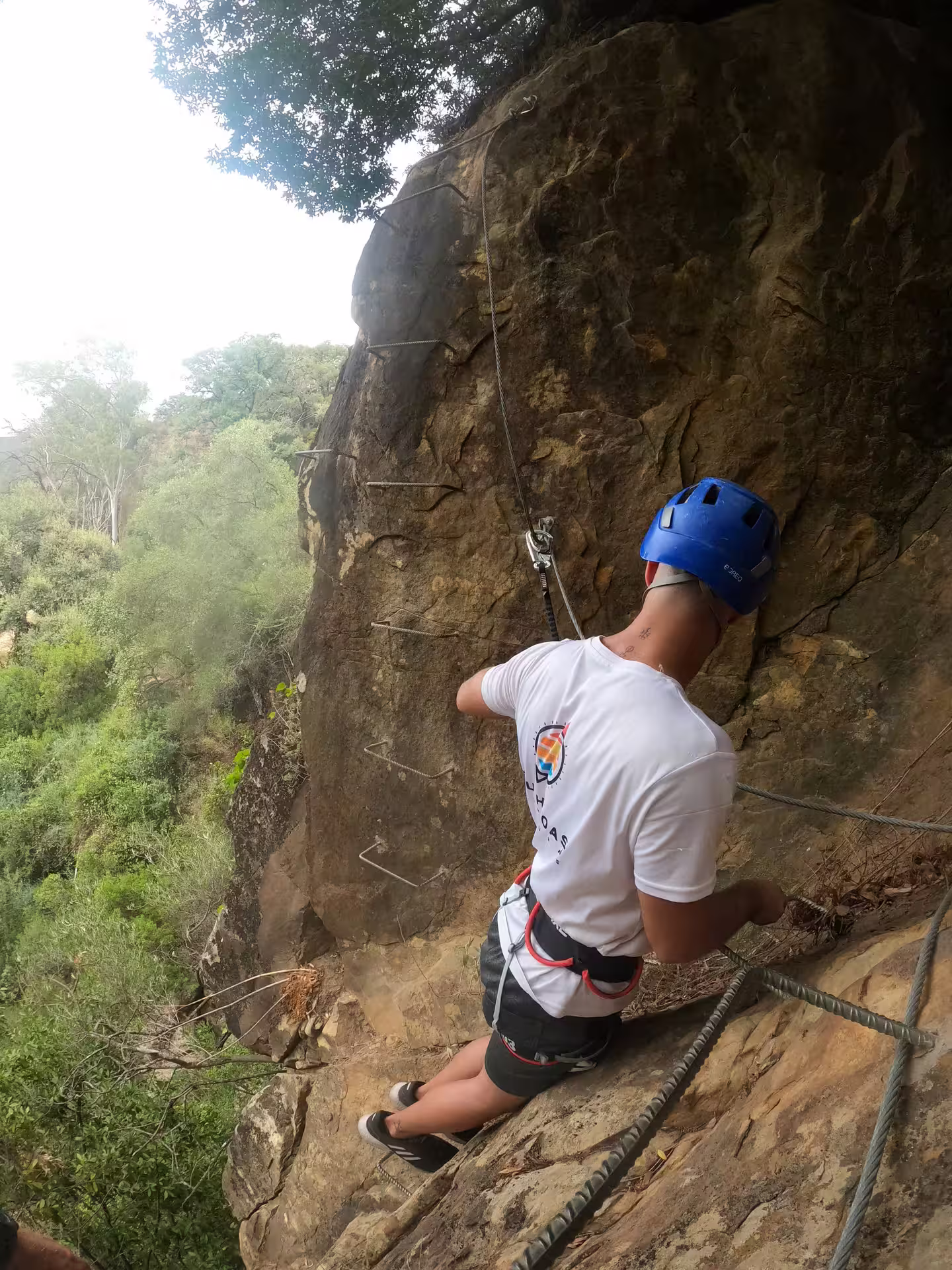 Adventurer tackles Via Ferrata El Caimán, harnessed on steep rock face amidst Alcornocales Natural Park's lush landscape.