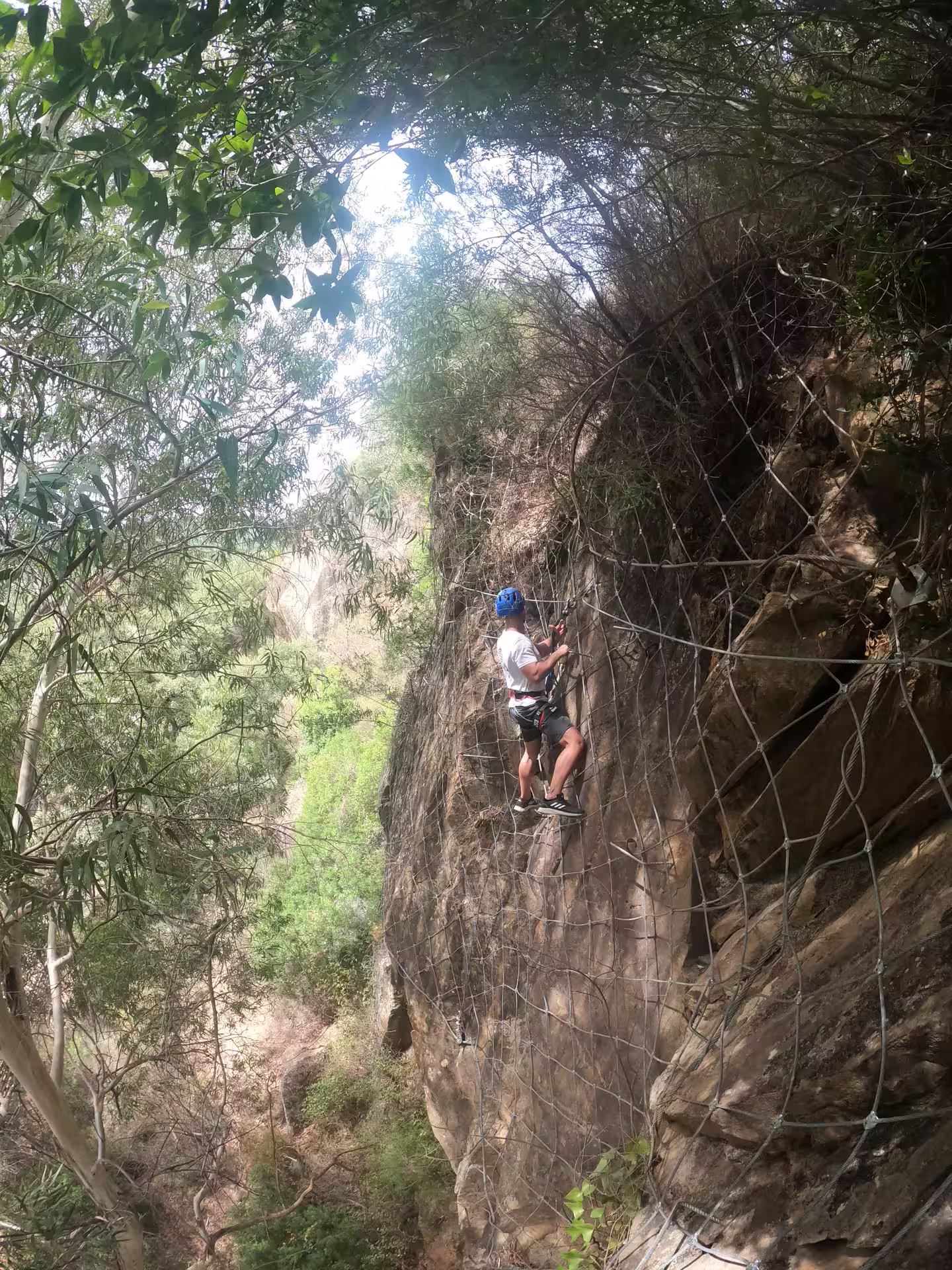 Adventurer climbs Via Ferrata El Caimán in Alcornocales Natural Park, surrounded by lush greenery and rugged rock formations.