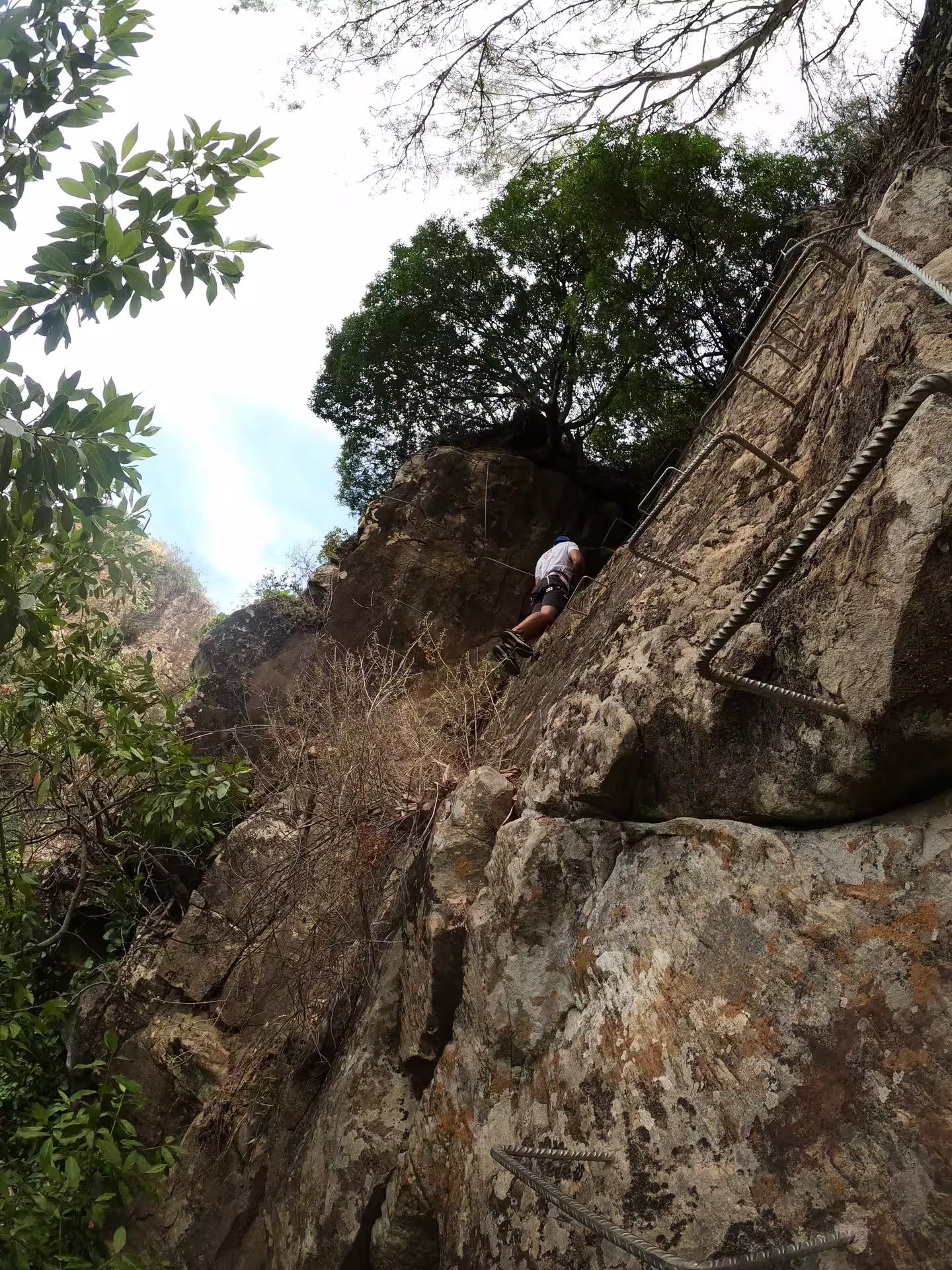 Adventurer climbs rugged cliff on Via Ferrata El Caimán, surrounded by lush greenery in Alcornocales Natural Park.