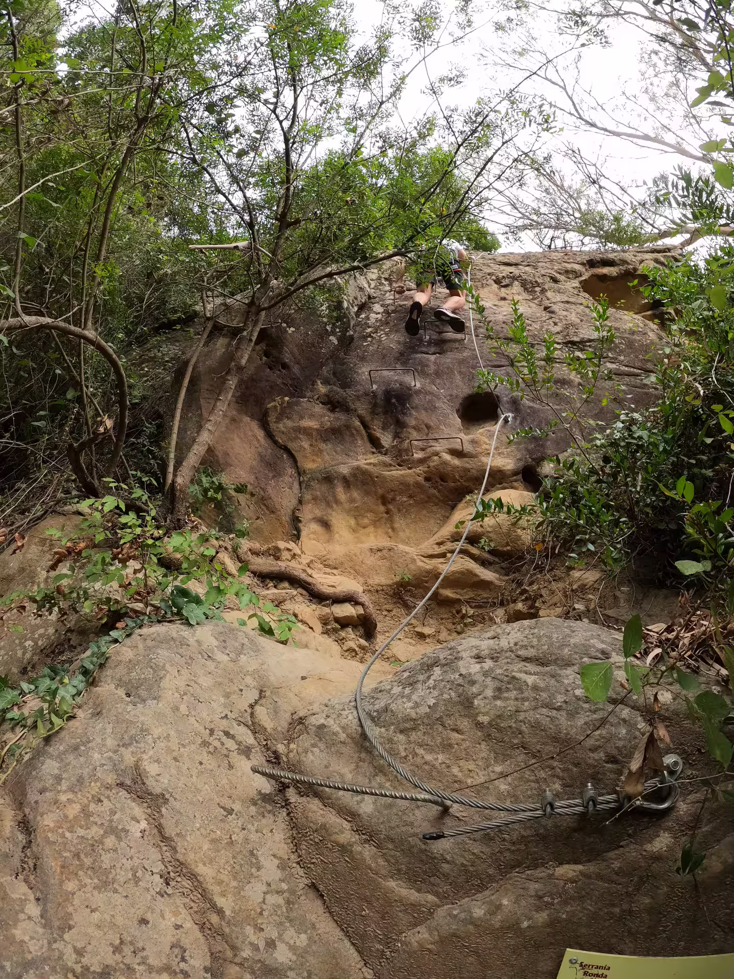 Climber ascends rocky path on Via Ferrata El Caimán, surrounded by lush foliage in Alcornocales Natural Park adventure.