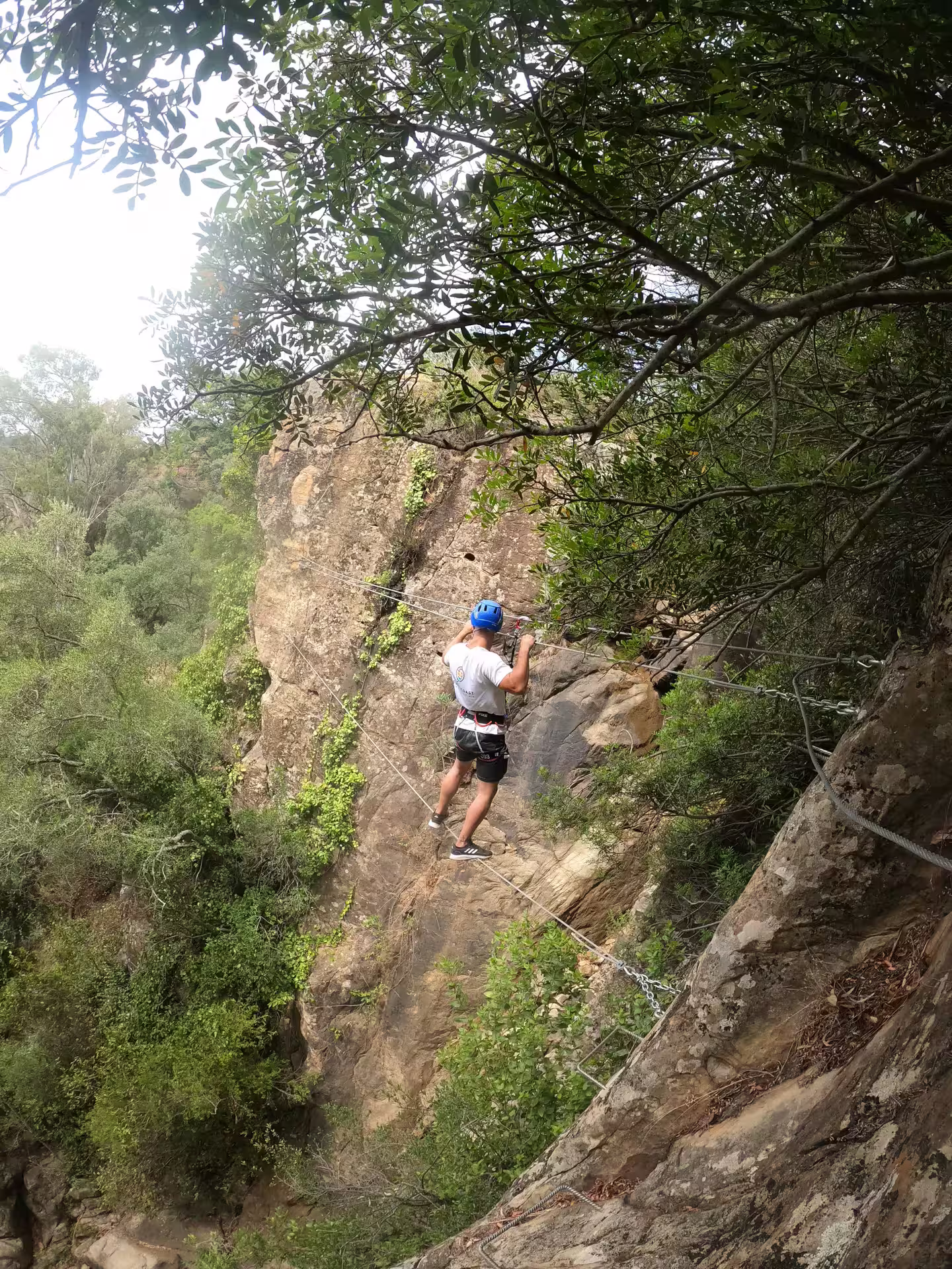 Climber navigates a challenging cliff face at Via Ferrata El Caimán, surrounded by dense greenery in Alcornocales Park.